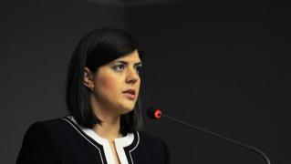 Cinci senatori cer președintelui Iohannis demiterea Liviei Stanciu și a Codruței Kovesi