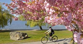 Prognoza meteo pentru următoarele două zile! Vreme cu surprize