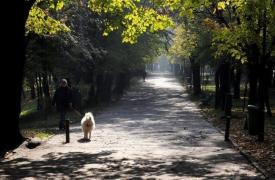 Vreme deosebit de caldă pentru această perioadă