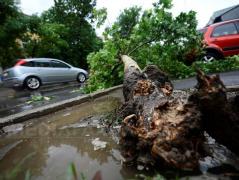 Cod Galben, Bucureşti: Arbori căzuți și mașini avariate după furtună