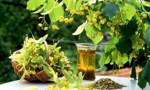 Natura este minunată! Florile de tei, miracol pentru sănătate