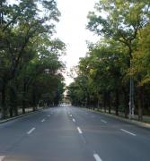 Atenţie, şoferi din Bucureşti! Se închide şoseaua Kiseleff în weekend