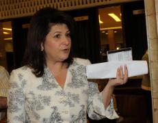 Rovana Plumb, despre alocațiile diferențiate: "Curtea nu se poate antepronunța"