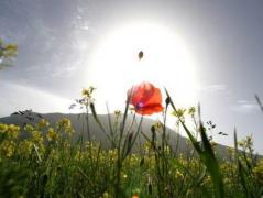 Temperaturi de peste 30 de grade până pe 21 iunie