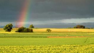 Vreme instabilă! Prognoza meteo pe trei zile