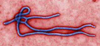 Liberia confirmă un nou caz de Ebola