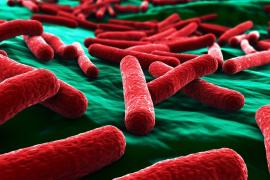 Observator 19: E-coli, inamicul invizibil al celor mici