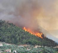 Grecia: Două arestări după incendii devastatoare