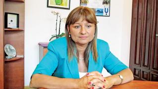 Soția lui Sorin Frunzăverde, audiată la Parchetul General