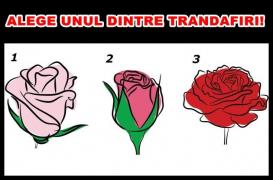 Alege una dintre imagini! Acesta este cele mai tare test de personalitate