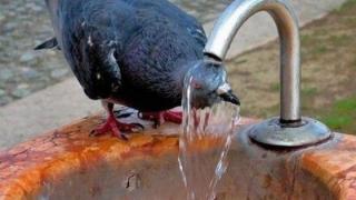 Cod Galben de caniculă și disconfort termic în București și 19 județe