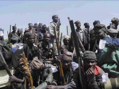 Nigeria: Armata anunță eliberarea a peste 50 de persoane care erau ținute captive de Boko Haram