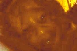 Imagini REALE. Chipul DIAVOLULUI  a apărut de nicăieri!