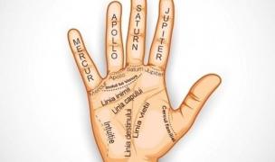 Învaţă şi tu să CITEŞTI în PALMĂ! Iată cum îţi influenţează fiecare linie viitorul