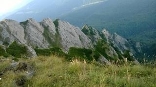 Raed Arafat ia în calcul șanse foarte mici ca pilotul planorului să fie în viață