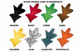 Ai curaj? Alege rapid o FRUNZĂ și află cel mai ascuns SECRET al tău!