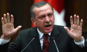 Erdogan: Turcia va continua ofensiva "până când nu va mai rămâne niciun singur terorist" în țară
