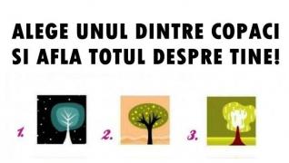 Test de personalitate! Alege unul dintre arbori şi află ce spune asta despre tine