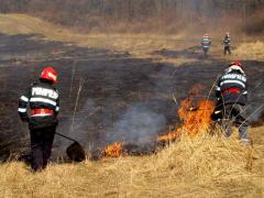 Hunedoara: Incendiu la o pădure de conifere din Retezat. La fața locului se intervine și cu un elicopter