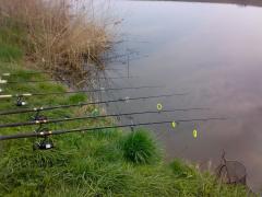 „Visul” oricărui pescar! A prins un „MONSTRU” de 70 de kilograme într-un lac din România!