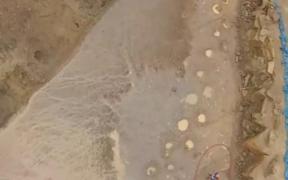 Descoperirea ULUITOARE care SCHIMBĂ TOTUL!