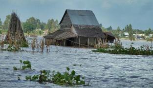 Musonul din Asia: Sute de morți, milioane de evacuați