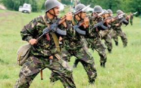 MAI: Exercițiu de testare a capacității operaționale, în județul Timiș