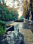 Echinocțiul de toamnă 2015. Ce se întâmplă în prima zi a noului anotimp