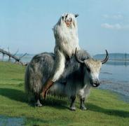 Cum va sărbători ediţia britanică a Revistei Vogue 100 de ani. Poze incendiare