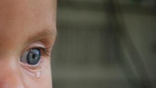 Observator 19! Baia Mare: Doi fraţi, abandonaţi pentru a fi salvaţi