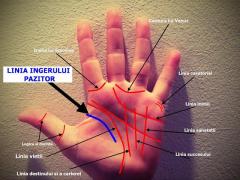 Ai această linie în palmă? Ceva minunat ți se va întâmpla!