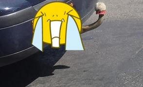 FOTO VIRAL! Mesajul unui bucureştean scris pe maşină te face să râzi cu lacrimi. Aşa ceva nu ai mai văzut