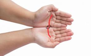 DESTINUL E ÎN MÂINILE TALE! Vezi dacă aceste două linii din palmele tale se aliniază și ce înseamnă acest lucru!