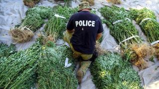 Poliția a confiscat peste o tonă de heroină într-un laborator din nordul țării