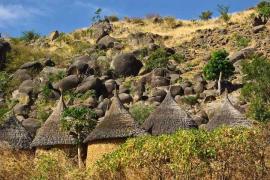 Camerun: 12 morți într-un atentat sinucigaș împotriva unei moschei în extremul nordic al țării