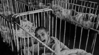 Poveștile ÎNFIORĂTOARE ale lui PAVEL OARCEA, medicul care a oprit masacrul de la Cighid. A salvat SUTE DE COPII din „IADUL DE PE PĂMÂNT”