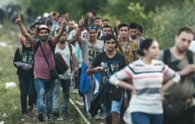 60 de imigranţi au pătruns ILEGAL în România din Serbia