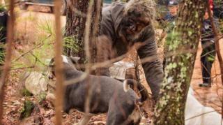 A trăit 16 ani în pădure, înconjurat doar de câini! O poveste impresionantă!