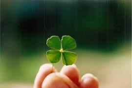 Vrei să începi o afacere? Nu știi pe ce dată să îți stabilești nunta? Care sunt zilele tale norocoase din 2016, în funcție de ZODIE!