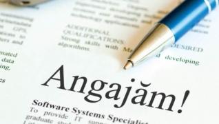 Peste 2.200 de locuri de muncă sunt disponibile în Spaţiul Economic European