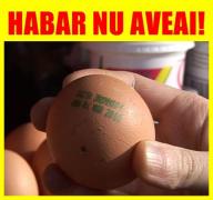 Punem pariu că habar nu aveai? Ce înseamnă numărul de lângă data de expirare de pe ouă