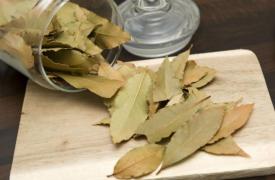 A pus o foaie de DAFIN în scrumieră şi i-a dat foc! Ce s-a întâmplat întrece orice imaginaţie