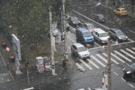 Cod galben de ploi abundente și vânt puternic