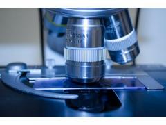 Malaezia: Numărul victimelor febrei dengue a crescut cu 50% în 2015