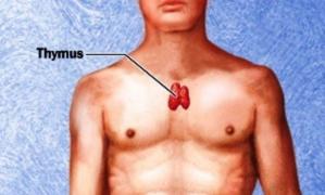 Ce se întâmplă dacă APEȘI  acest PUNCT timp de 30 de SECUNDE! Medicii sunt șocați!