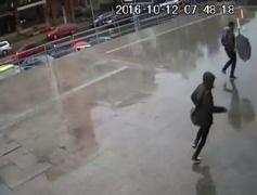 Noi IMAGINI cu ursul ucis la Sibiu: Animalul a semănat PANICĂ printre locuitori (VIDEO)