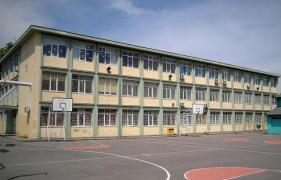 Caz ŞOCANT în România! O elevă de clasa a V-a, arătând semne obscene şi cu o bâtă de baseball în mână, a REVOLTAT o ţară întreagă (FOTO)