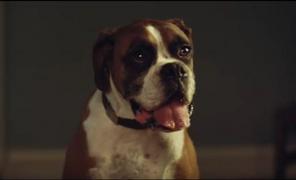 A apărut CEA MAI AŞTEPTATĂ RECLAMĂ de Crăciun: "Anul acesta am vrut să vă facem să râdeţi" (VIDEO)