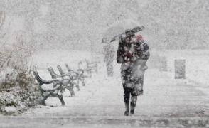 BREAKING NEWS: COD PORTOCALIU de ninsori şi viscol în 14 judeţe din România. Zeci de maşini au fost avariate de copacii căzuţi (FOTO + HARTĂ)