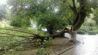 Este DEZASTRU în România din cauza vremii. Ce se întâmplă ACUM în mai multe localităţi din ţară